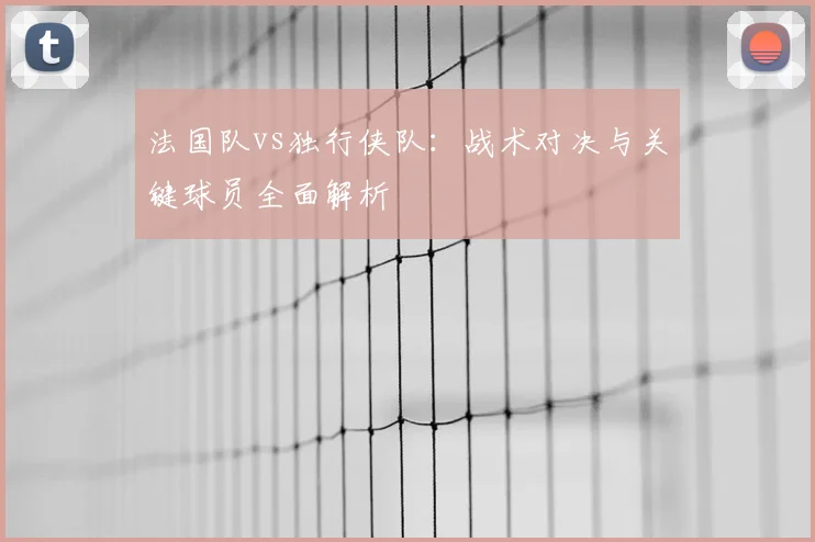 法国队vs独行侠队：战术对决与关键球员全面解析