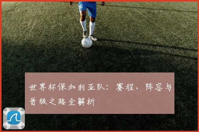 世界杯保加利亚队：赛程、阵容与晋级之路全解析
